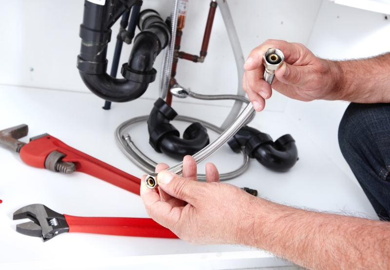 Toilet repair being carried out in West Wickham